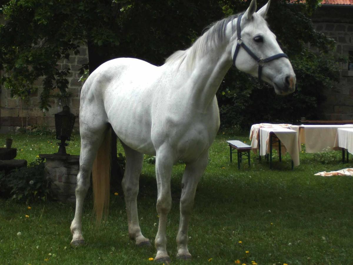 Hofgut Schackau Lägenhet Hofbieber Exteriör bild